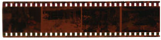 35mm negative film e1531619528159